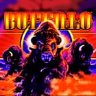 Buffalo thumbnail